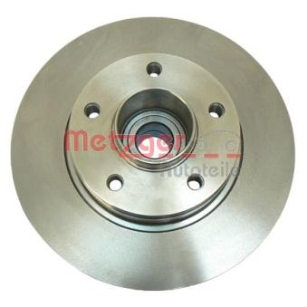 Jeu de 2 disques de frein arrière METZGER OEM 4020600QAG