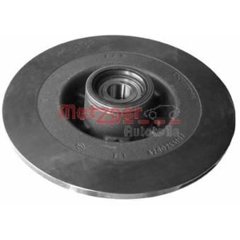 Jeu de 2 disques de frein arrière METZGER OEM 8200367094