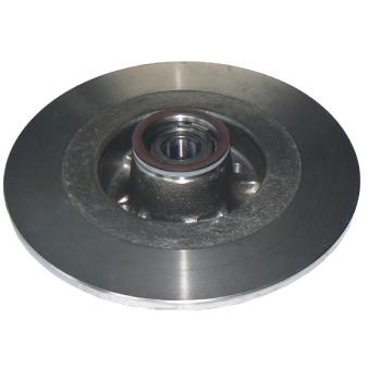 Jeu de 2 disques de frein arrière METZGER OEM 7701207898