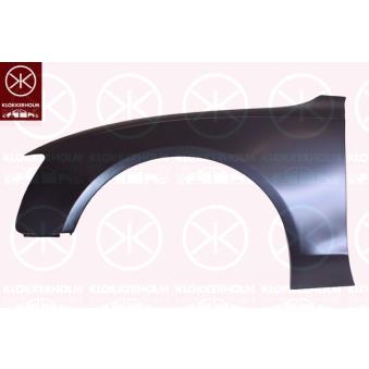 Aile avant droit KLOKKERHOLM 0038312