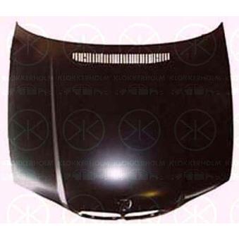 Capot-moteur KLOKKERHOLM 0061281