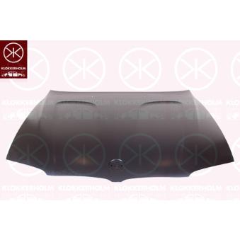 Capot-moteur KLOKKERHOLM 0093280