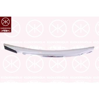 Grille de radiateur KLOKKERHOLM 1305991