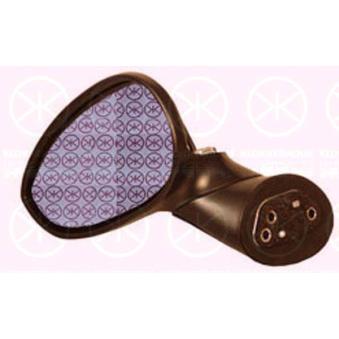 Rétroviseur extérieur KLOKKERHOLM [20131042]