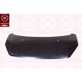 Capot-moteur KLOKKERHOLM 2501280