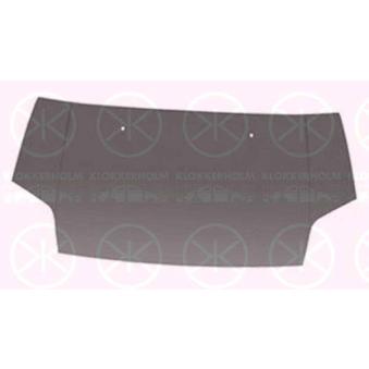 Capot-moteur KLOKKERHOLM 2507281A1