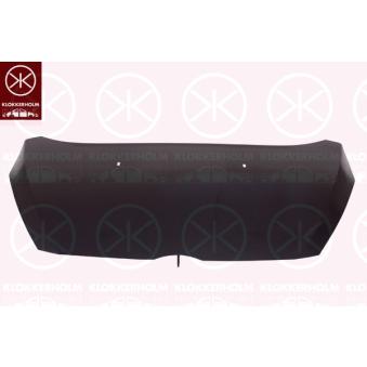 Capot-moteur KLOKKERHOLM 2521280