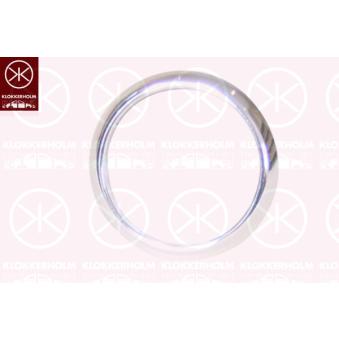 Boîtier, projecteur antibrouillard KLOKKERHOLM 2533920 pour FORD FOCUS 1.6 TDCi - 100cv Boîtier, projecteur antibrouillard KLOKKERHOLM 2533920 pour FORD FOCUS 1.6 TDCi - 100cv