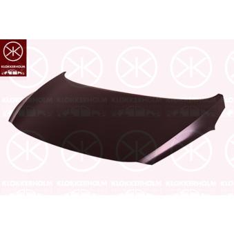 Capot-moteur KLOKKERHOLM 3136280A1