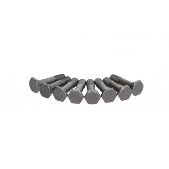 Visserie, volant moteur LUK 411 0130 10