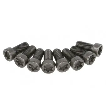 LUK 411 0230 10 - Visserie, volant moteur