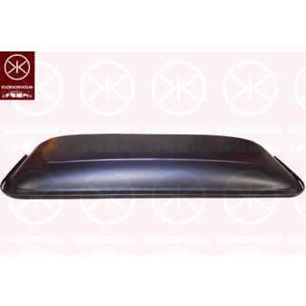 Galerie de toit KLOKKERHOLM 9555700