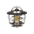 Metalcaucho 03254 - Thermostat d'eau