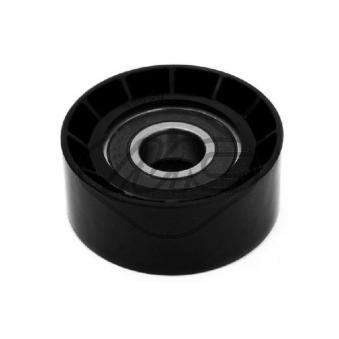 Poulie renvoi/transmission, courroie trapézoïdale à nervures Metalcaucho 05161 pour RENAULT MASTER 2.5 DCI 120 - 115cv