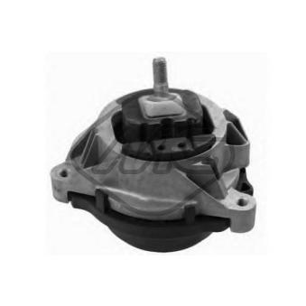 Support moteur Metalcaucho OEM 22116854251