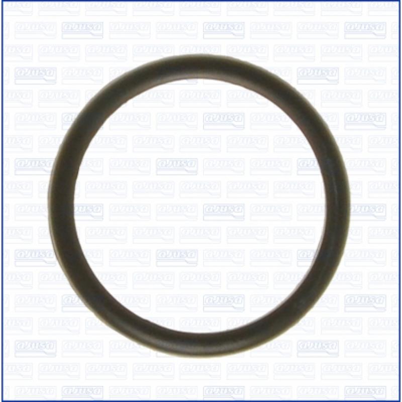 Joint d'étanchéité, thermostat AJUSA 00538100 - Visuel 1