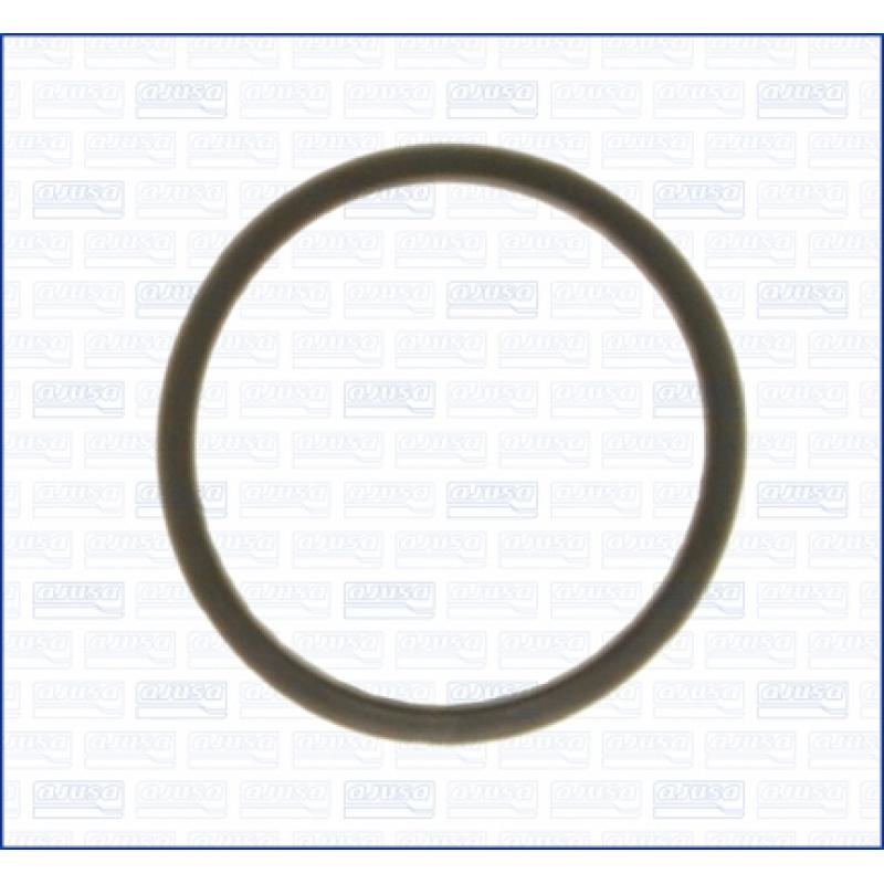 Joint d'étanchéité, thermostat AJUSA 00843000 - Visuel 1