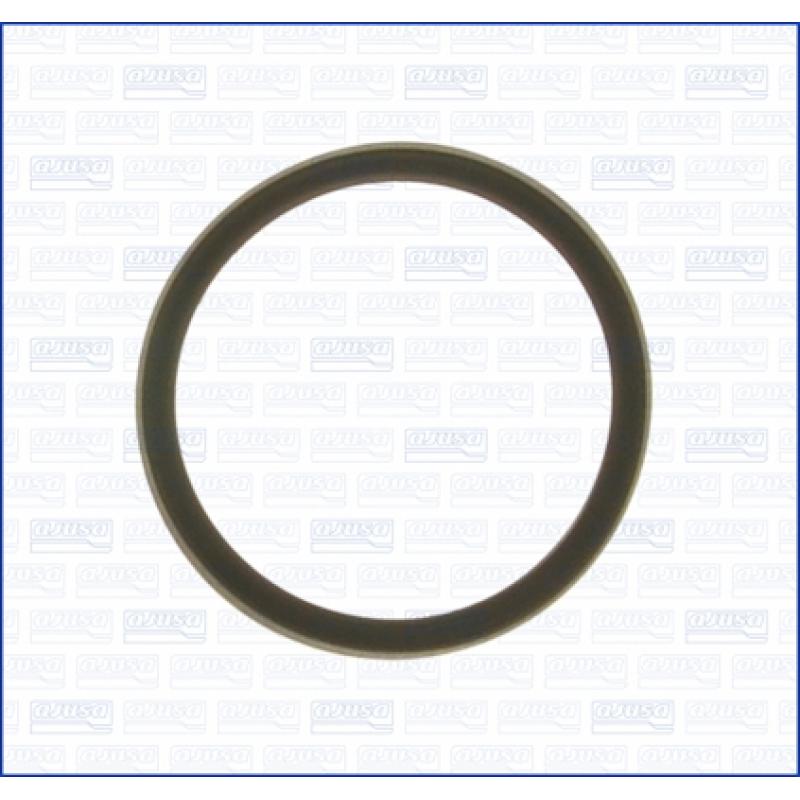 Joint d'étanchéité, thermostat AJUSA 00975700 - Visuel 1