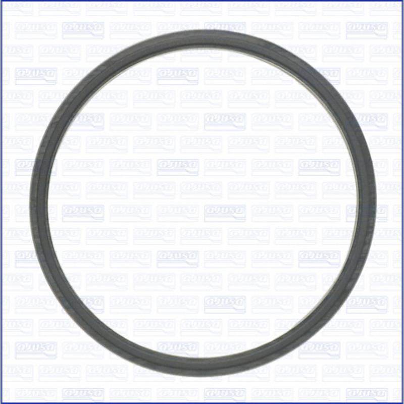 Joint d'étanchéité, thermostat AJUSA 01434600 - Visuel 1