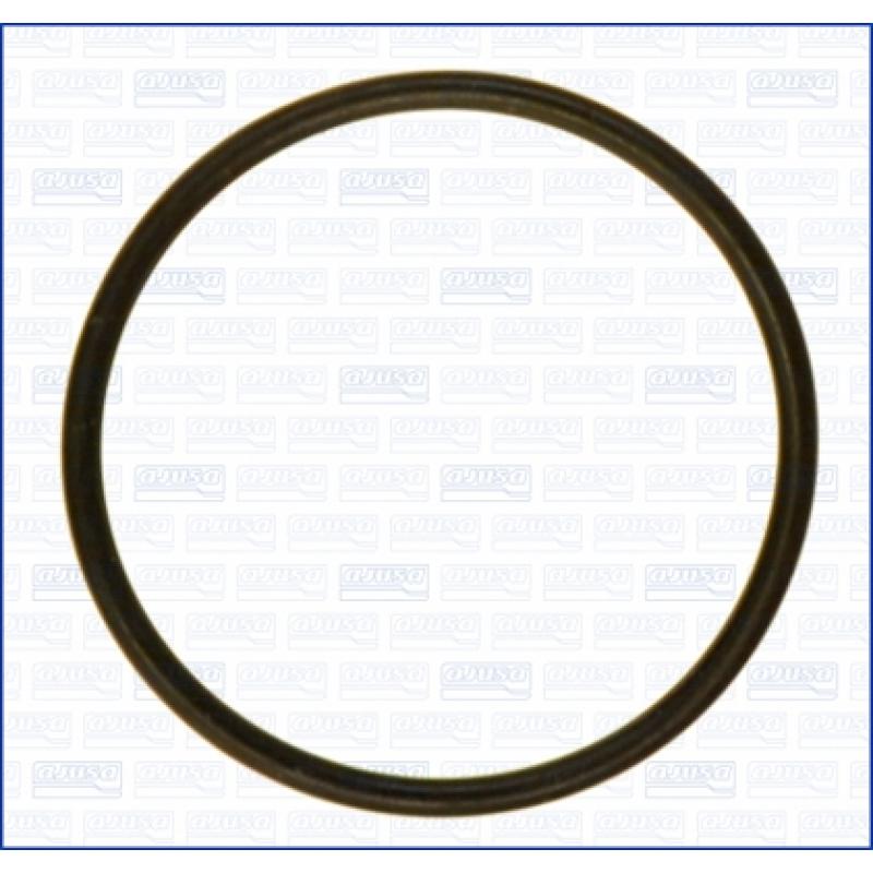 Joint d'étanchéité, pompe à carburant AJUSA 16022000 - Visuel 1