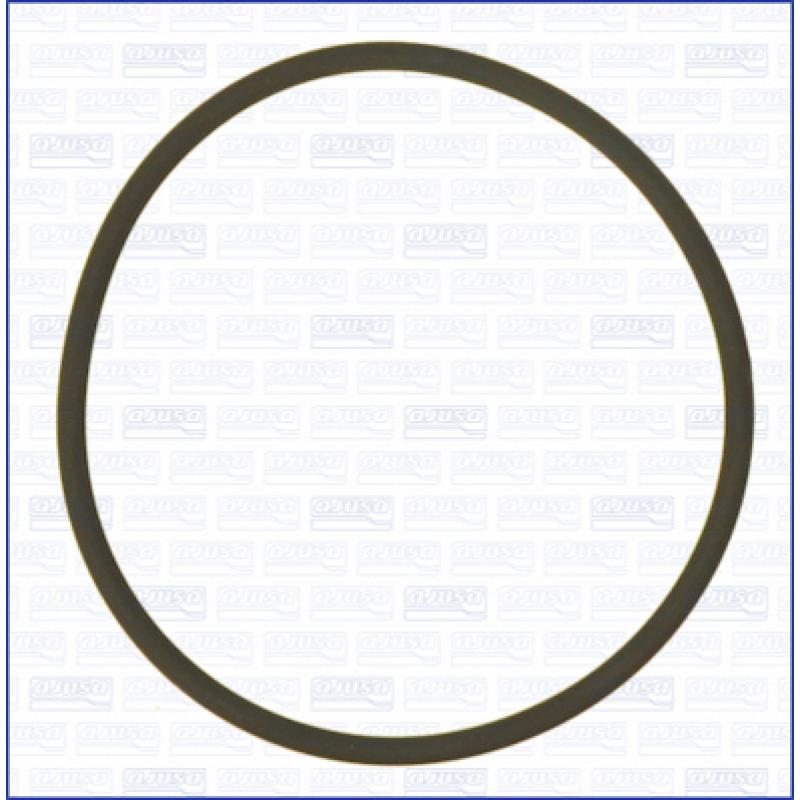 Joint d'étanchéité, pompe d'injection AJUSA 16102700 - Visuel 1