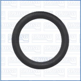Joint, raccord d'eau (compresseur) AJUSA 16545200