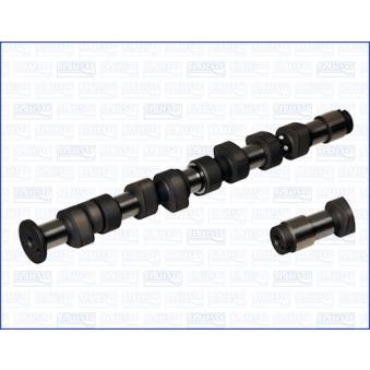 Arbre à came AJUSA OEM 030109101d Arbre à came AJUSA OEM 030109101d