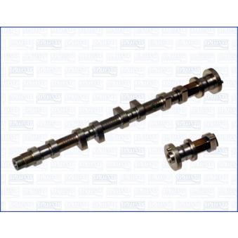 Arbre à came AJUSA OEM 1302073C00