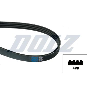 Courroie trapézoïdale à nervures DOLZ [05KD4PK865E]