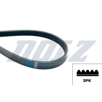 Courroie trapézoïdale à nervures DOLZ [05KD5PK854E]