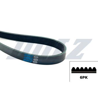 Courroie de distribution DOLZ OEM 31330244 Courroie de distribution DOLZ OEM 31330244