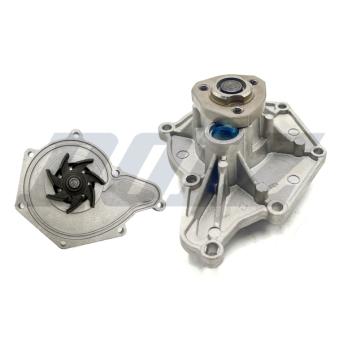 Pompe à eau DOLZ [A213]