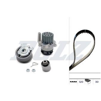Pompe à eau + kit de courroie de distribution DOLZ [KD054]