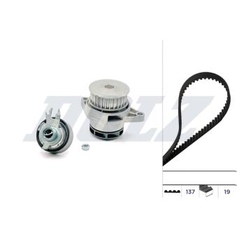Pompe à eau + kit de courroie de distribution DOLZ [KD078]