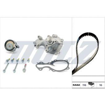 Pompe à eau + kit de courroie de distribution DOLZ [KD177IO]