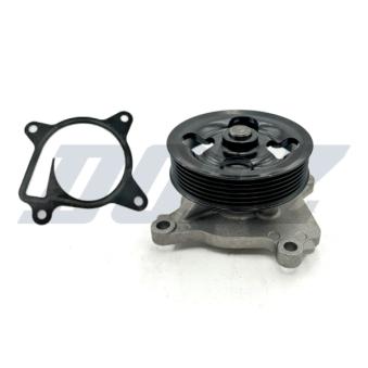 Pompe à eau DOLZ OEM 210103TS0A Pompe à eau DOLZ OEM 210103TS0A