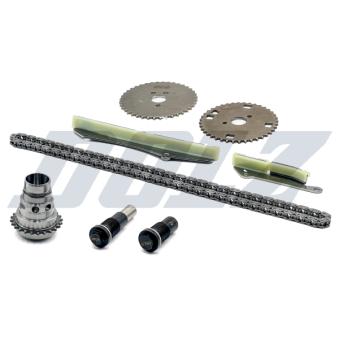 Kit de distribution par chaîne DOLZ [SKCC060F]