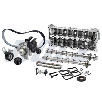 Kit de distribution par chaîne DOLZ [SKCC191LD]