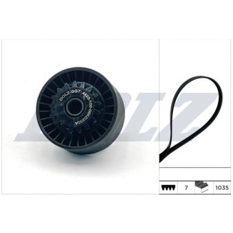 Jeu de courroies trapézoïdales à nervures DOLZ OEM 117200033R