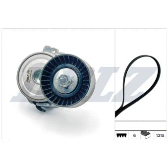 Jeu de courroies trapézoïdales à nervures DOLZ SKD203A pour CITROEN JUMPY 2.0 HDI 120 - 120cv