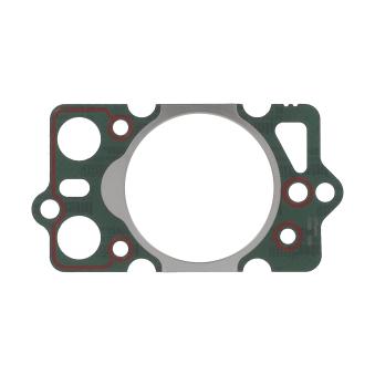 Joint d'étanchéité, culasse PAYEN OEM 22032154