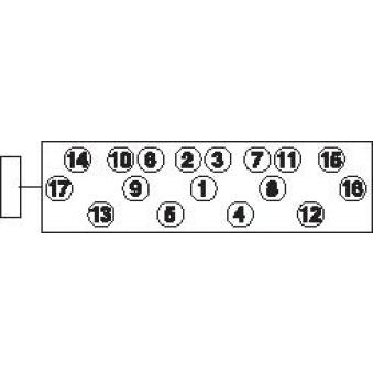 Jeu de boulons de culasse de cylindre PAYEN OEM 0204429x