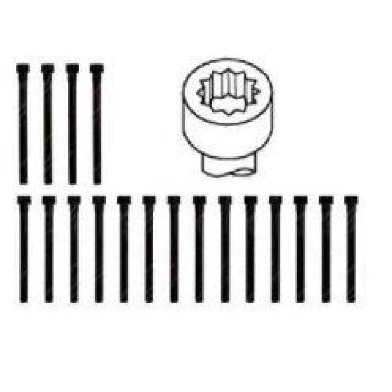 Jeu de boulons de culasse de cylindre PAYEN HBS061 - Visuel 1