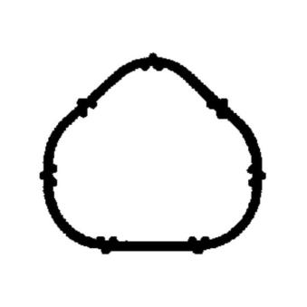 Joint d'étanchéité, collecteur d'admission PAYEN OEM 7701473007