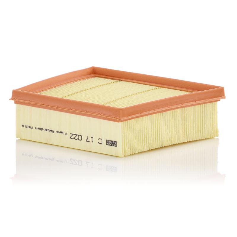 Filtre à air MANN-FILTER C 17 022 - Visuel 2