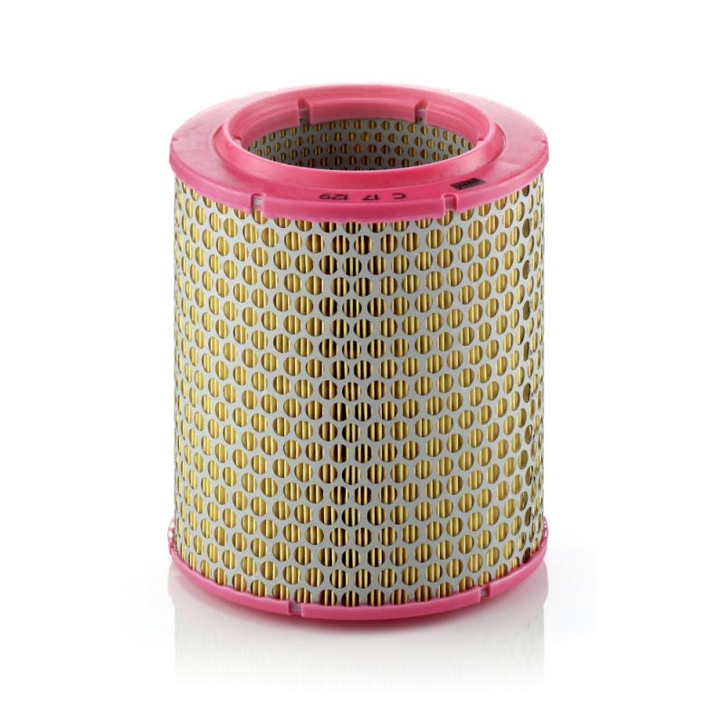 Filtre à air MANN-FILTER C 17 129 - Visuel 1