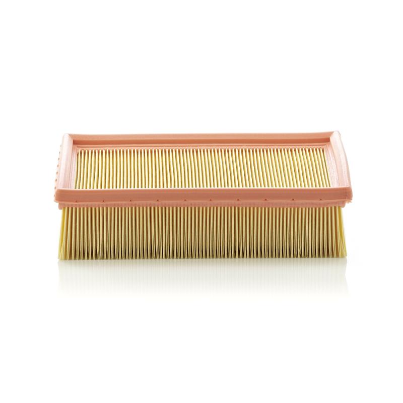 Filtre à air MANN-FILTER C 24 105 - Visuel 1