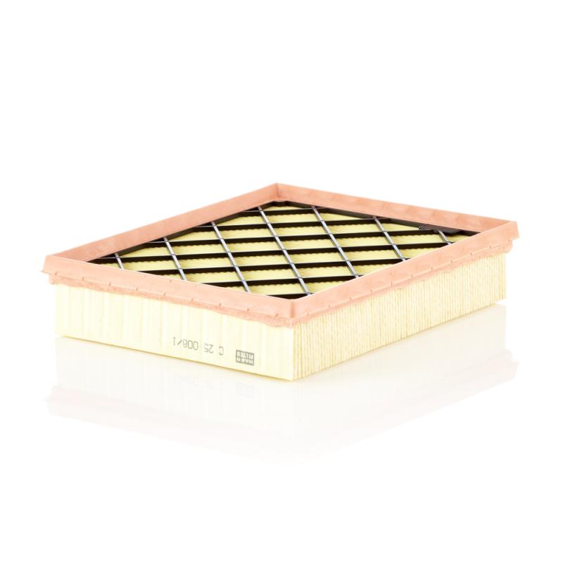 Filtre à air MANN-FILTER C 25 008/1 - Visuel 1