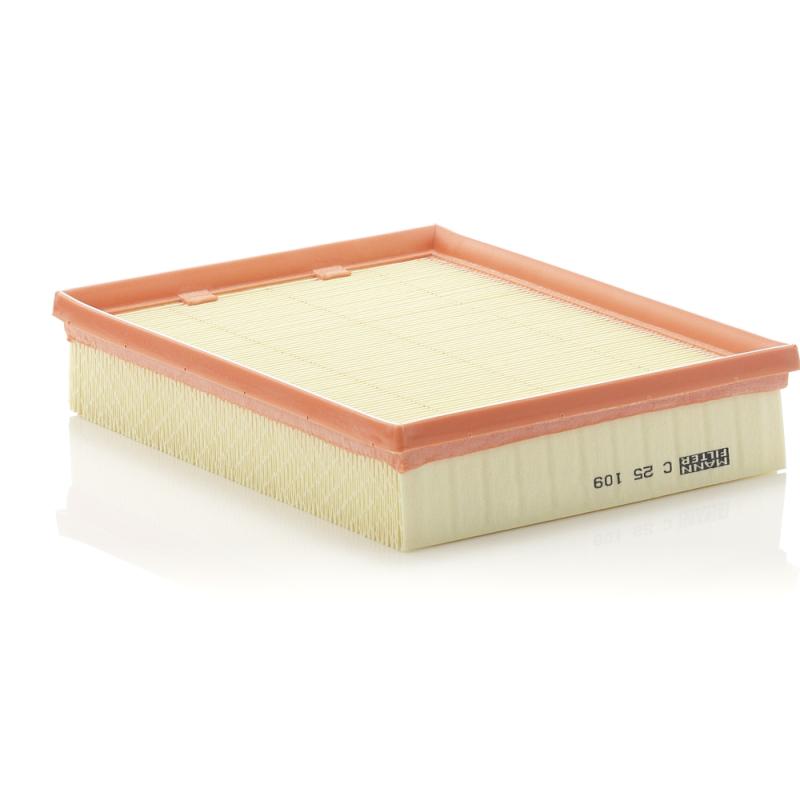 Filtre à air MANN-FILTER C 25 109 - Visuel 1