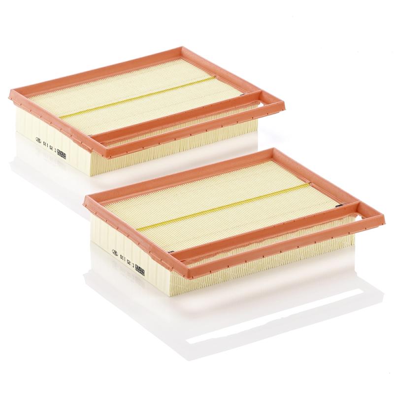 Filtre à air MANN-FILTER C 25 110-2 - Visuel 1